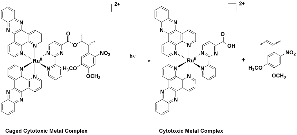 caged metal complex