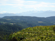 dsc01297-185