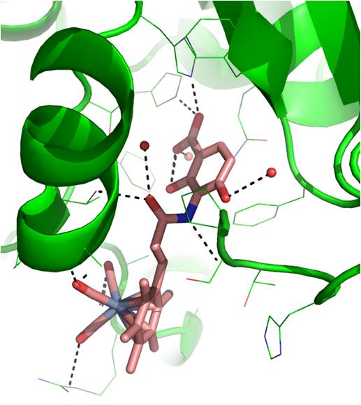 picutre enzyme - cr